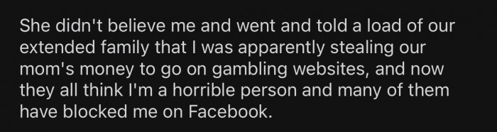 The sister ended up spreading that lie around and ruining OP's reputation.