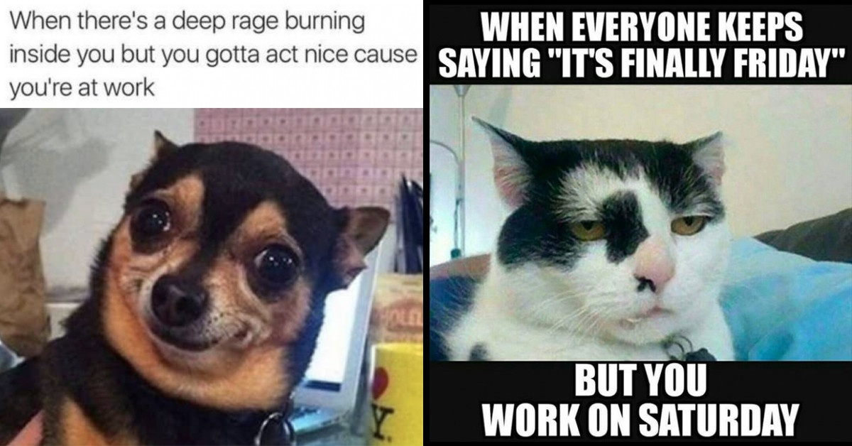 69 Memes About Working In Retail That Will Make You Say "Niiiice"