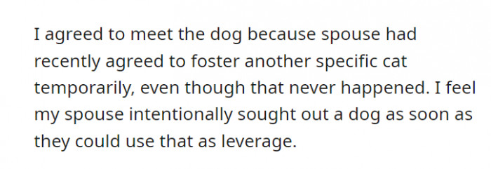 At the start, one of the conditions of getting a dog was when they have only 2 cats—that is, until the answer becomes a 