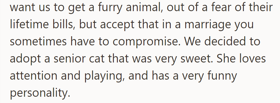 Despite fears of lifetime costs, they compromised on adopting a sweet, playful senior cat.