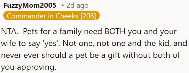 Both partners must agree before getting a pet for the family, ensuring it's a joint decision, not a surprise gift.