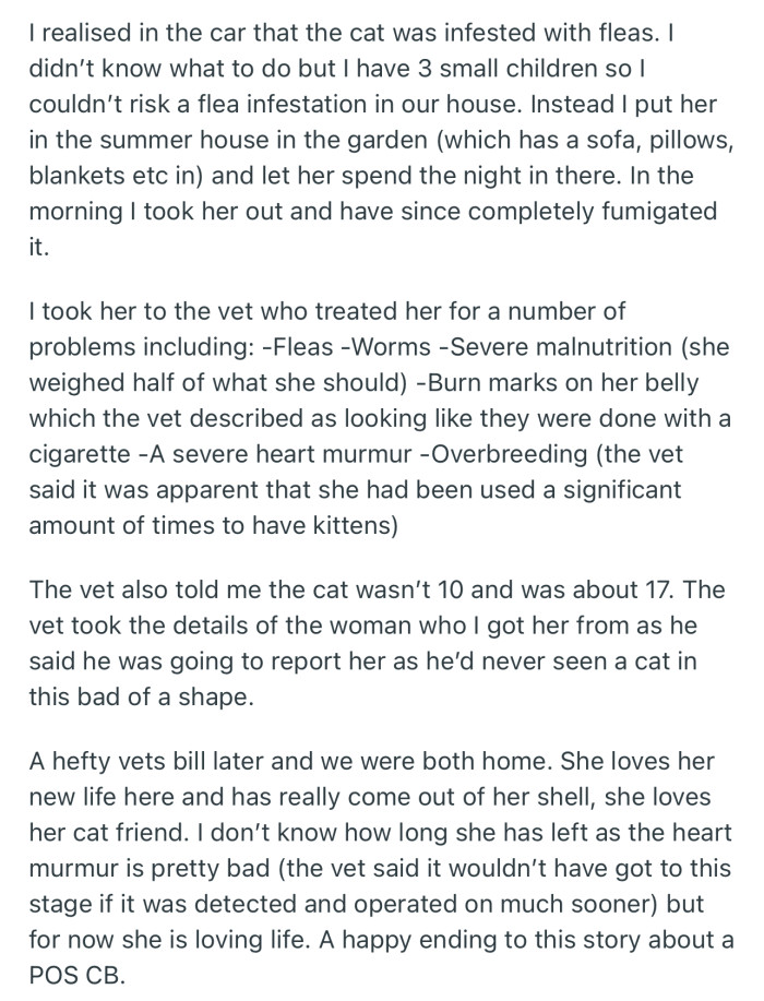 The Next Day, OP Took the Cat to the Vet to Get Her Checked