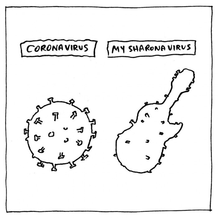 31. Sharonavirus