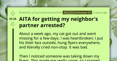 Redditor Gets Their Neighbor Arrested For Stealing Their Cat And Asks If They Were In The Wrong For Reporting Him