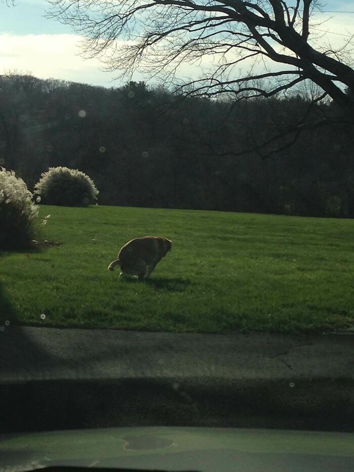 6. When you got to go, you got to go.