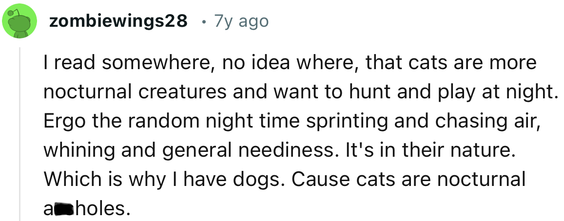 “I read somewhere, no idea where, that cats are more nocturnal creatures and want to hunt and play at night. It’s in their nature.”