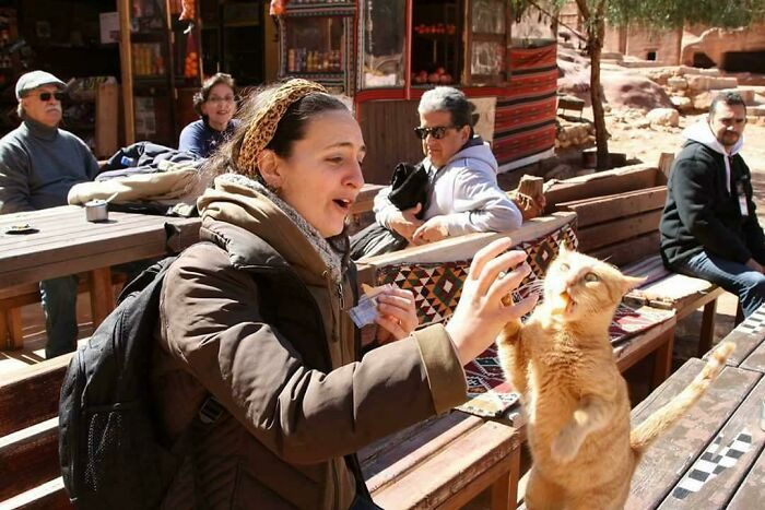 "High-Five Derp Cat"