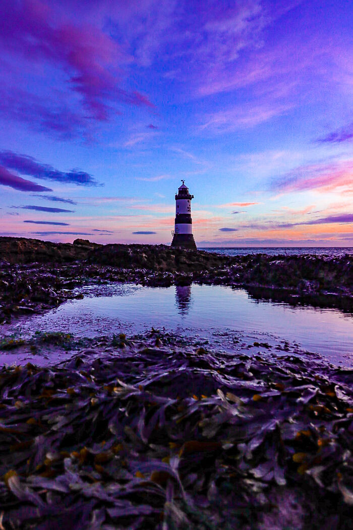 “Don't Be So Dim”