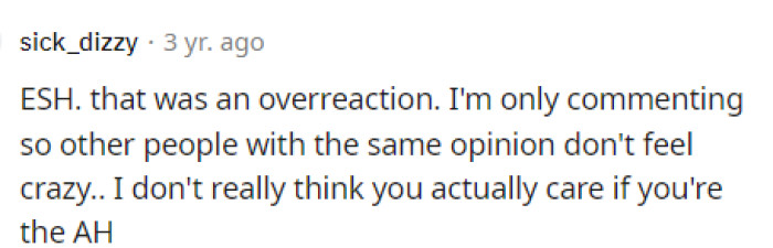 This comment actually was on the opposite side, and they said that they felt OP's reaction was an overreaction and that the kids didn't do anything that bad.