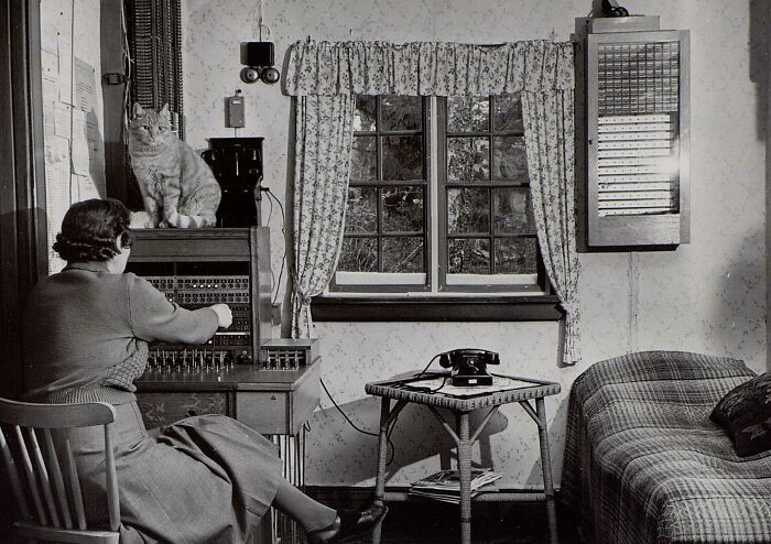 "Rural Switchboard Operator With Her Cat In Örsundet, Sweden 1953"