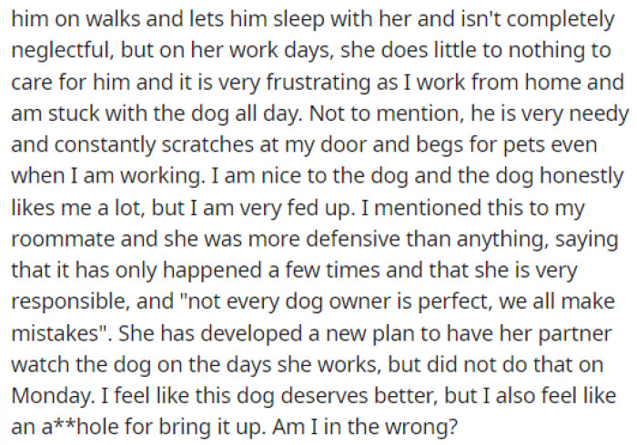They explain that they want to tell her that the dog deserves better than this, but OP doesn't want to seem like the AH for saying this.