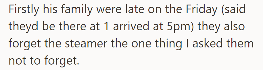 His family arrived late on Friday and forgot the steamer, the one thing she had asked them not to forget.