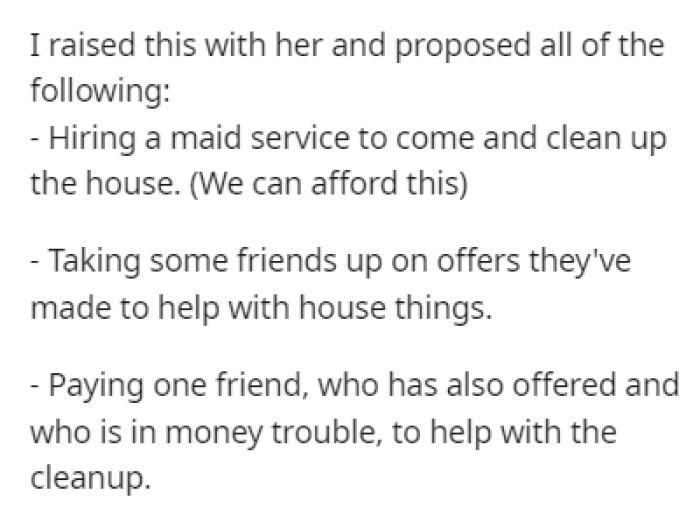 OP Realizes That It's Going to Take a Lot of Work to Clean Up the House, So He Proposed Some Alternatives to His Wife