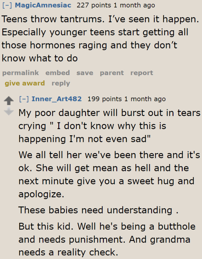 Some Redditors believe teens don't throw tantrums, others believe they still do.