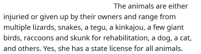 The animals are all either injured or have been abandoned by their owners.