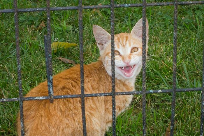 A startled face reacts to a perfectly timed street scene, “hmm” expression.