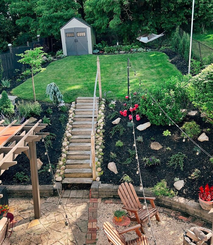 Trees suitable for sloped backyards.