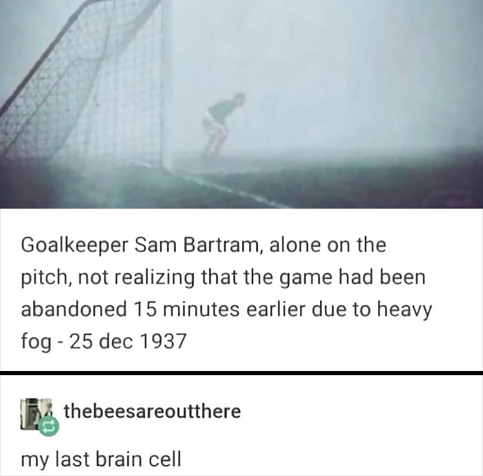 24. The last brain cell