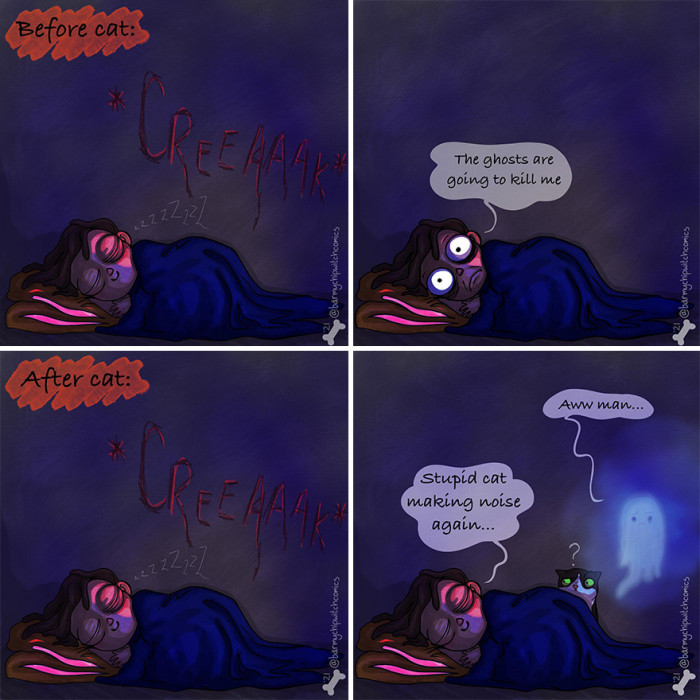 2. And all credits go to the cat