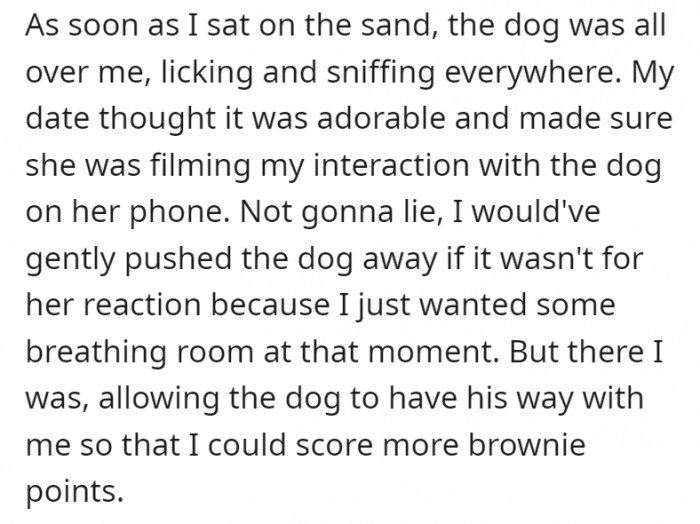 After their morning run, OP sits on the sand to catch his breath, and the dog is very enthusiastic with him. OP tries to score more brownie points, which leads to his downfall.