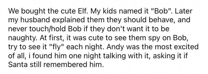 The family bought an elf, and the children named him 