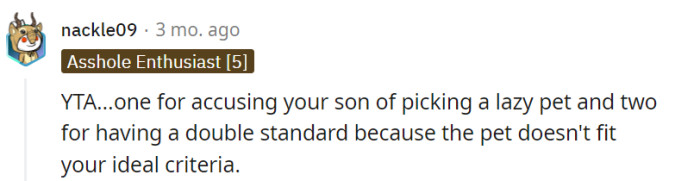Cats—lazy pets? Since when?