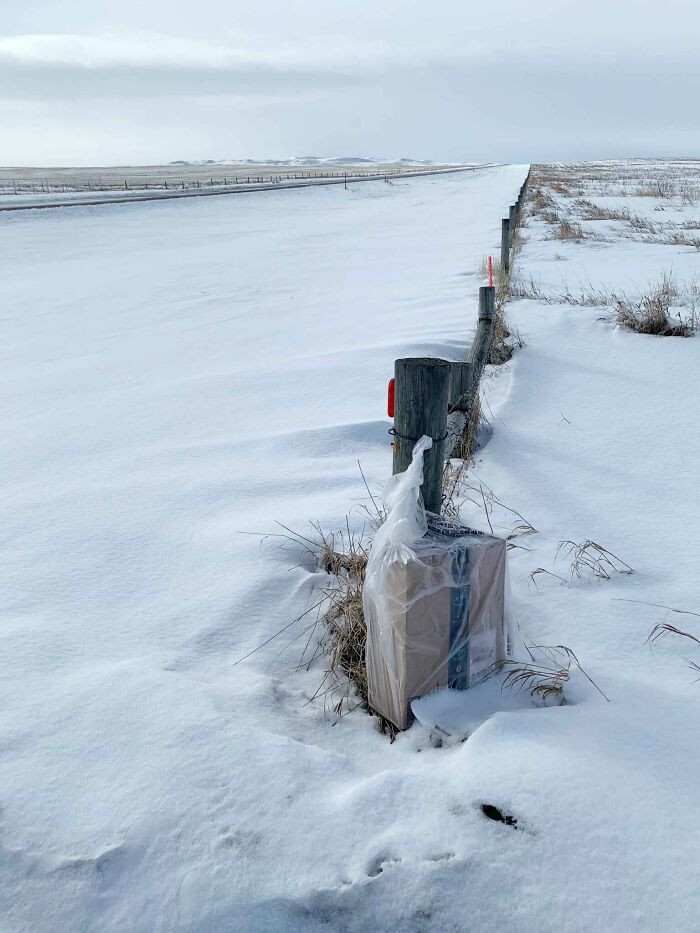 "Amazon Said It Was Delivered 2 Weeks Ago. Couldn't Find It; Snow Finally Melted A Bit. (1/2 Mile Away From House)"