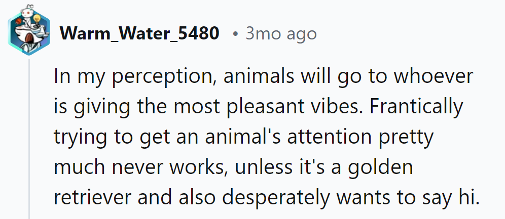 Animal vibes rule! Except for golden retrievers on treat missions!