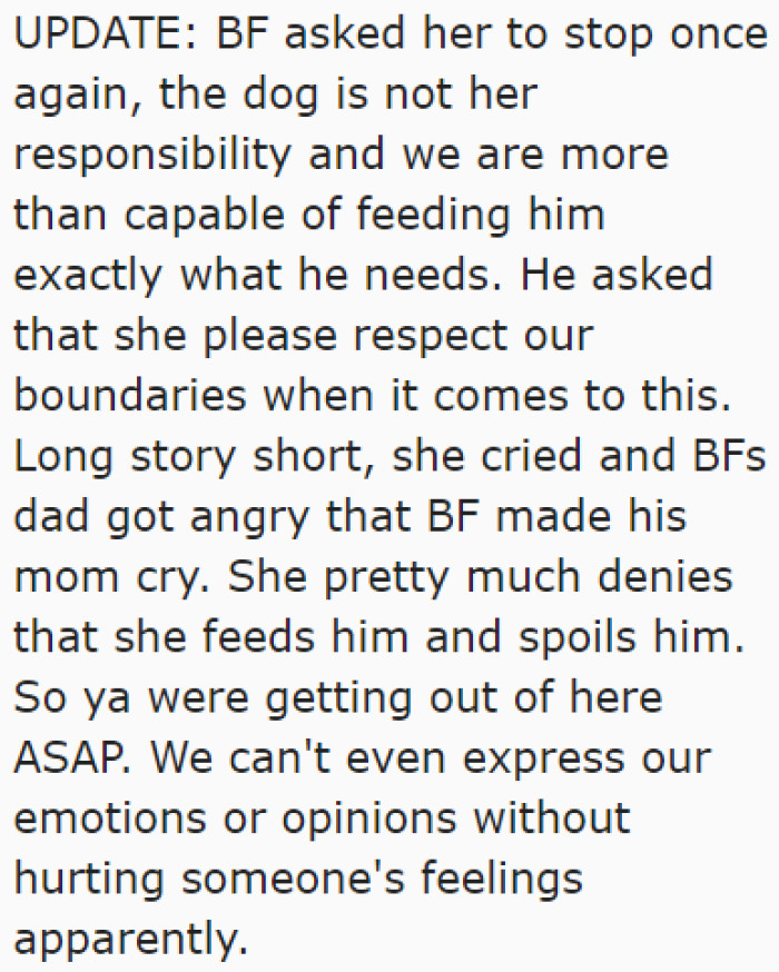 After a Confrontation, the OP and Her Boyfriend Decided to Move Out with Their Dog.