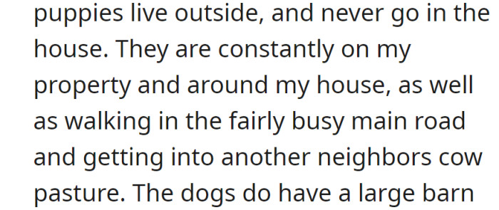 Puppies always outside, often on their property, near a busy road, and occasionally in a neighbor's cow pasture.