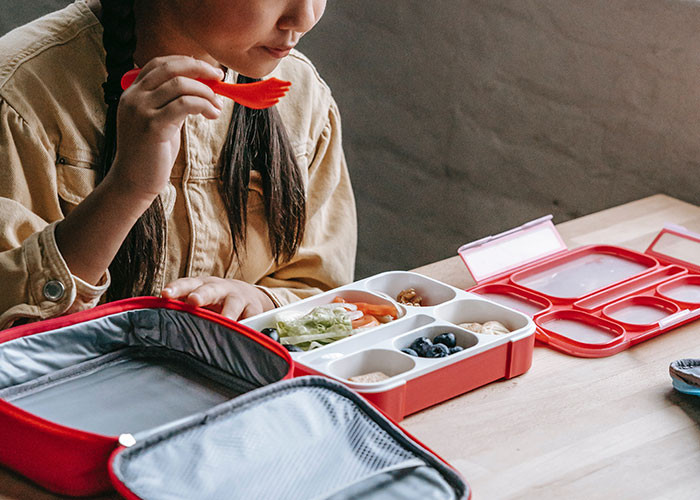 2. Plastic Everything