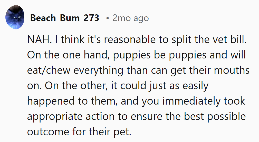 Puppies will be puppies—splitting the bill ensures fairness and keeps peace in the kennel!