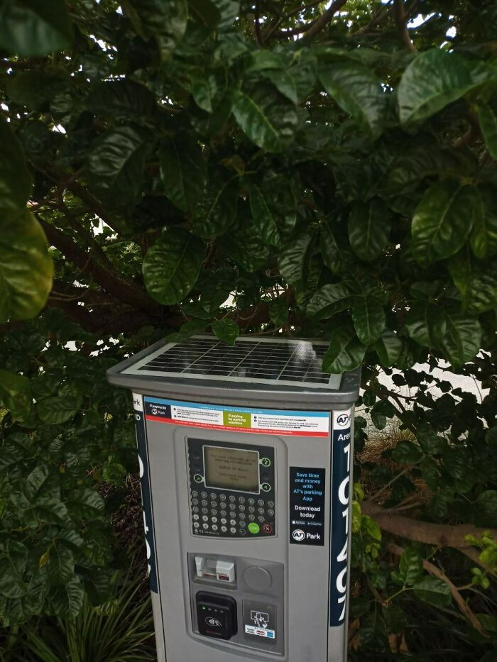 9. A Solar-Powered Parking Meter... Under A Tree