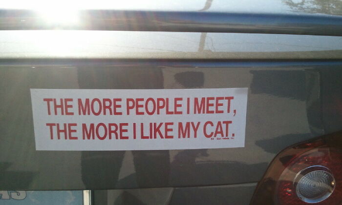 31. Saw This Sticker On A Car A While Ago