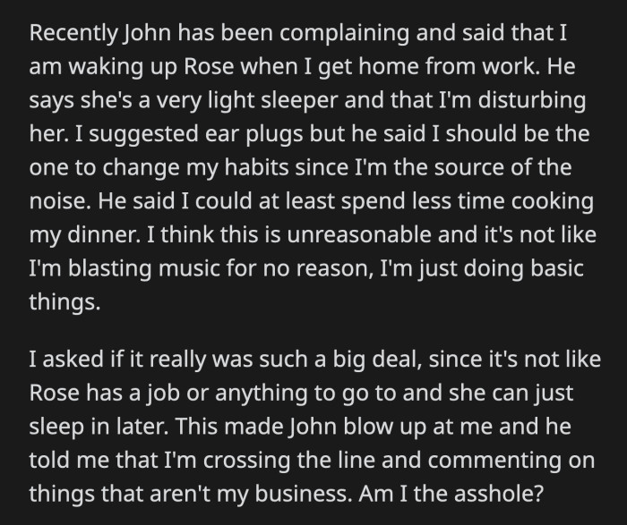 OP asked if it was really a big deal if Rose didn't have a job to go to anyway. John told OP she overstepped and meddled in things that weren't hers to deal with.