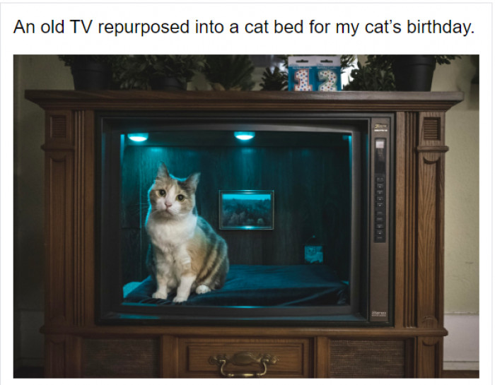 7. The cat lover who built this lovely thing: