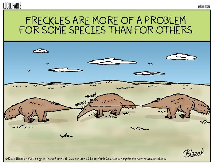 10. Freckle Problem