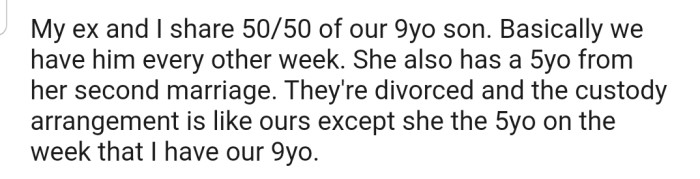 OP explained that they and their ex-wife share custody of their 9-year-old son. However, OP's ex has a 5-year-old from her second marriage. The problem is that she has the 5-year-old on the same week that OP has the 9-year-old, so both kids aren't able to spend time with each other.