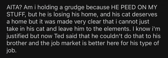 OP is unsure whether she has the right to hold a grudge against her BIL.