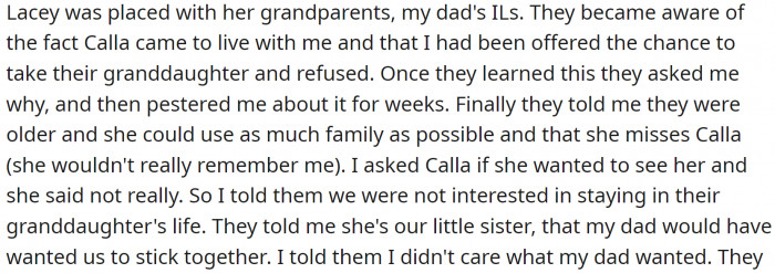 When Child Protective Services became involved due to both children being left as orphans, OP stepped up to take his sister.