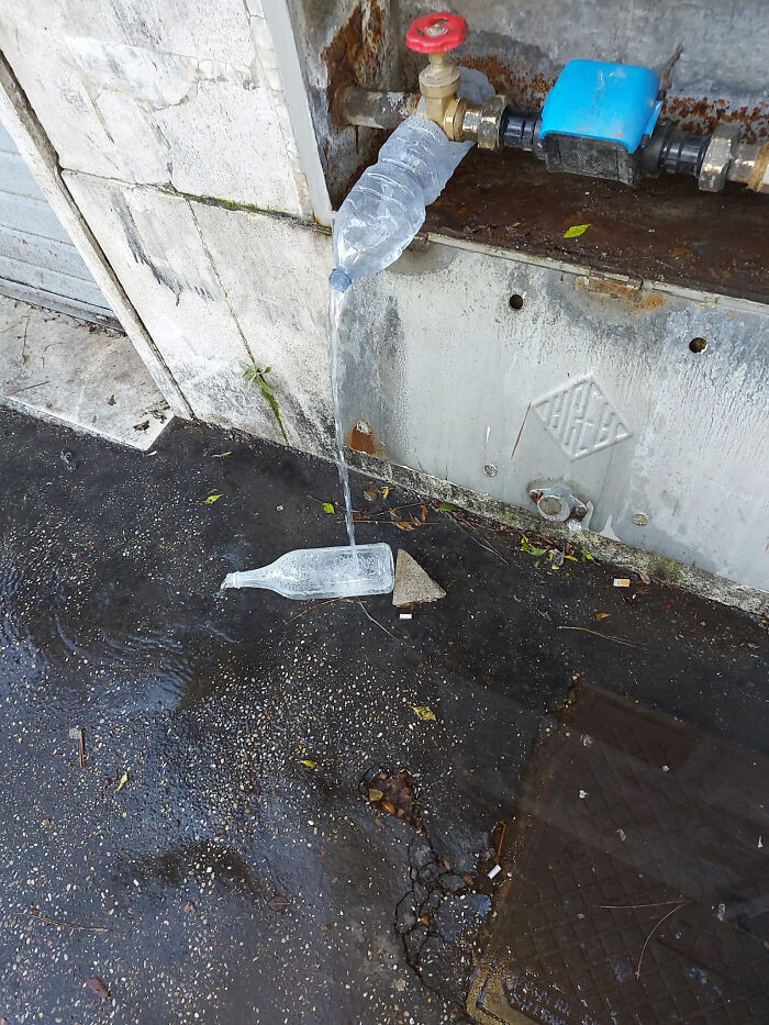 "Found This On The Street"