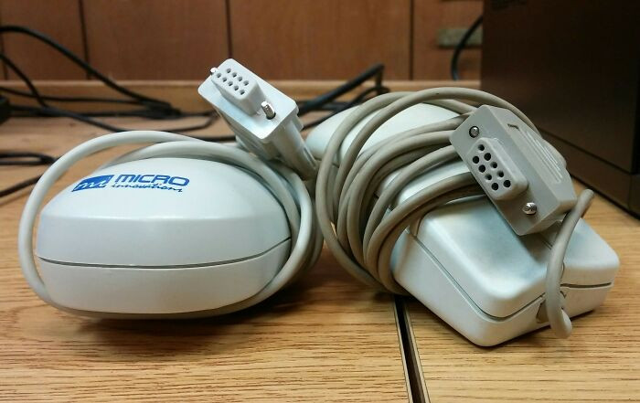 "I Told A Client They Needed More Mice And They Brought Me These."
