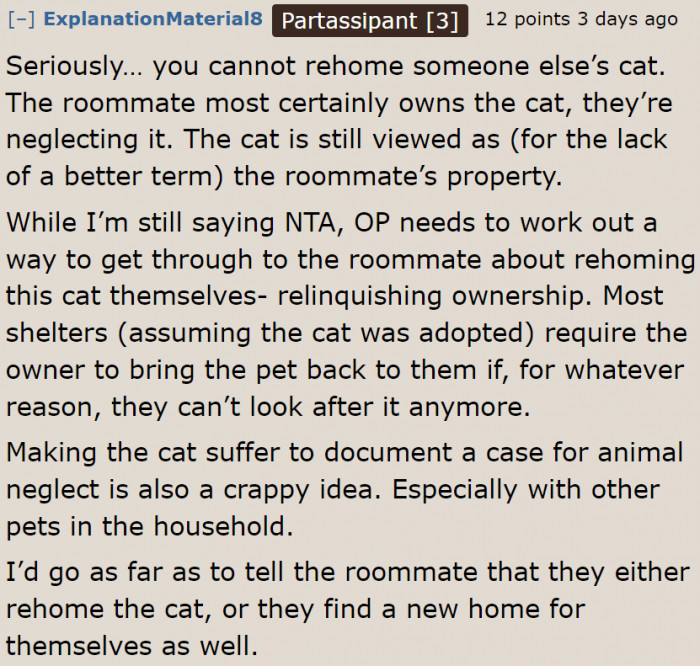 The OP needs to find another way to rehome the cat, even if it means confronting the roommate.