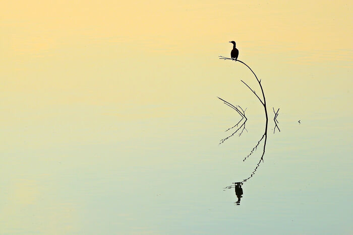 8. Is That A Water Reflection?