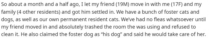 Here's how the story begins with them explaining who they are.