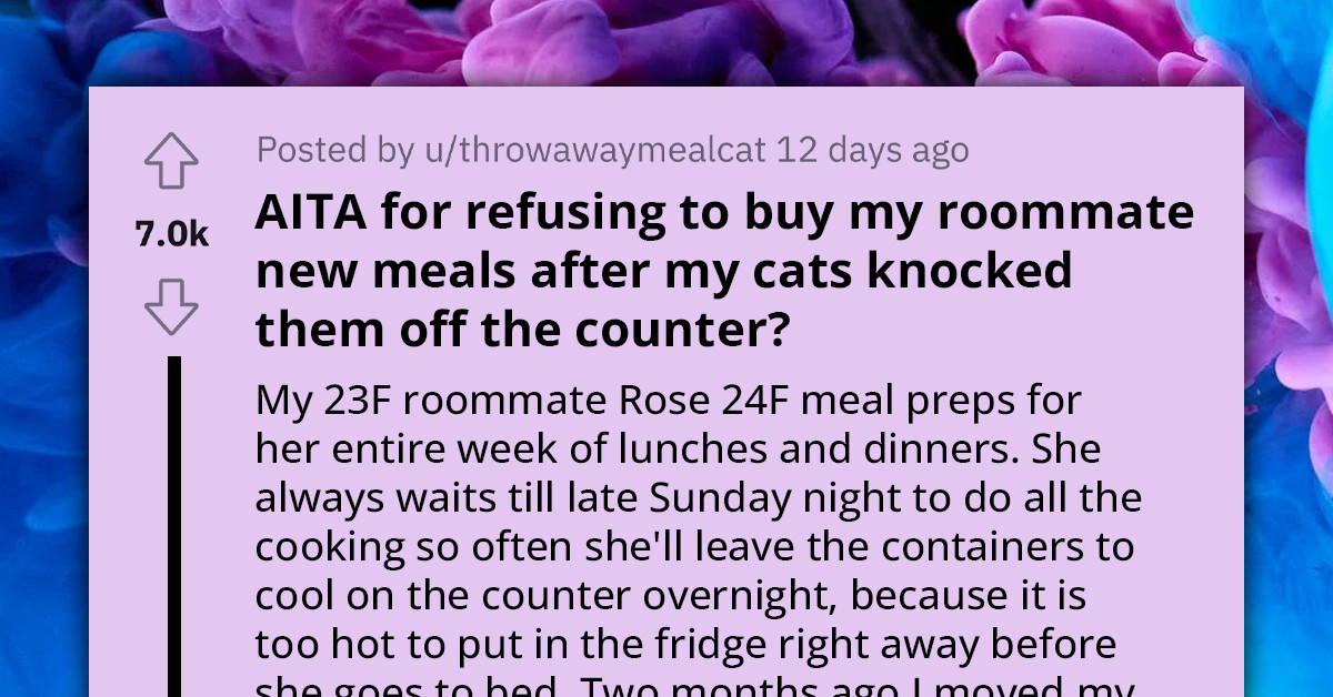 OP's Cat Destroys Roommate's Weekly Meal Prep, But She Declines To Replace The Food Because She Was Warned Before