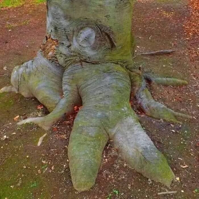 3. You, that’s nature for you