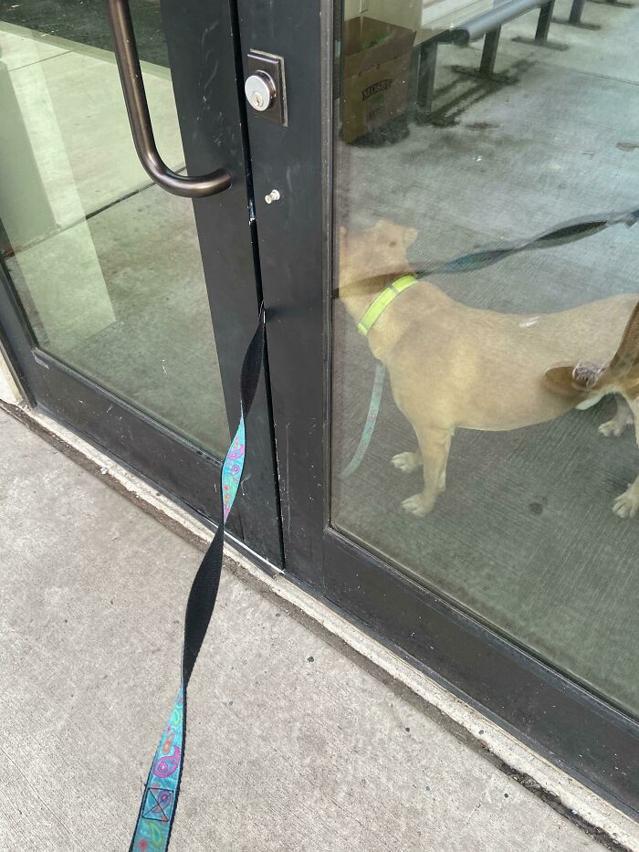 "At My Apartments, You Need A Key Fob For Entry. The Only Problem Is I Forgot The Key Inside. I Walked Out And Let The Door Shut Behind Me Before Realizing He Wasn’t Outside Yet. Now We Wait LOL"