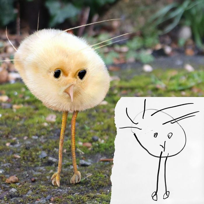 17. That’s a chick with no legs, only a face with a few feathers