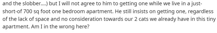 She said that her boyfriend still insists on getting one, and she wants to know if she's really in the wrong for trying to stand her ground.